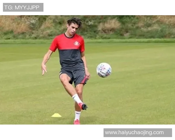 113查尔顿对桑德兰比赛结果分析及精彩瞬间回顾