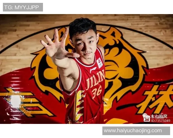 代怀博的崛起与挑战：探索新兴领域的机遇与未来发展趋势