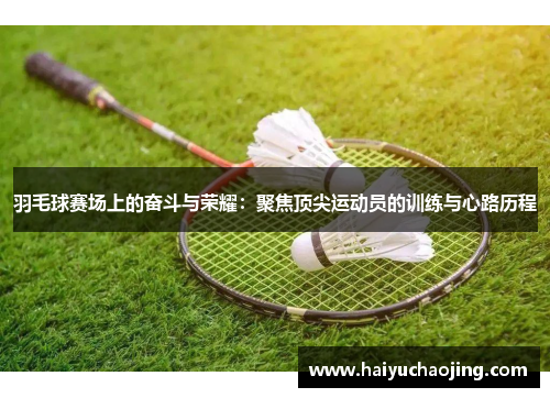 羽毛球赛场上的奋斗与荣耀：聚焦顶尖运动员的训练与心路历程