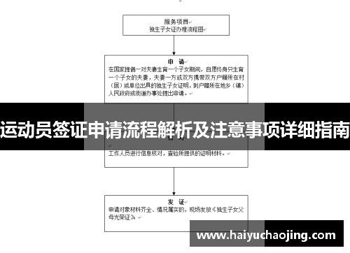 运动员签证申请流程解析及注意事项详细指南