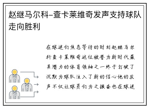 赵继马尔科-查卡莱维奇发声支持球队走向胜利